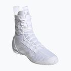 Bokso bateliai adidas Speedex 23 cloud white/cloud white/grey one
