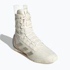 Bokso bateliai adidas Speedex 23 off white/beige/warm sandstone