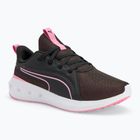 Bėgimo batai PUMA Softride Carson puma black/mauved out