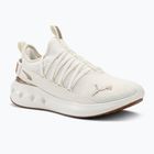 Bėgimo batai PUMA Softride Carson Fresh warm white/puma gold