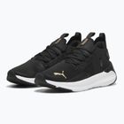Moteriški bėgimo batai PUMA Softride Symmetry Fuzion puma black/puma gold