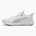 Bėgimo batai PUMA Softride Carson puma white/desert dust