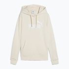 Moteriškas džemperis PUMA ESS No. 1 Logo Hoodie TR alpine snow