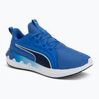 Bėgimo batai PUMA Softride Carson vivid blue/puma navy