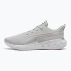Bėgimo batai PUMA Softride Carson cool light gray/rose mauve/puma silver