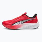 Bėgimo batai PUMA Pounce Lite for all time red/puma white