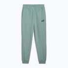 Vyriški šortai PUMA ESS No. 1 Logo Sweatpants TR CL green moon