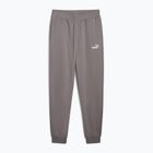 Vyriški šortai PUMA ESS No. 1 Logo Sweatpants TR CL cast iron