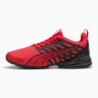 Bėgimo batai PUMA Voltaic Evo for all time red/puma black