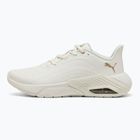 Moteriški bėgimo batai PUMA X-Cell Nova CAT SL warm white/puma gold