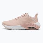 Moteriški bėgimo batai PUMA X-Cell Nova CAT SL rose quartz/silver mist