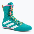 Bokso bateliai adidas Box Hog 4 turquoise
