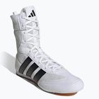 Bokso bateliai adidas Box Hog Classic white