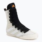 Bokso bateliai adidas Box Hog 4 Orbit Grey/Ftwr White/Pure Orange