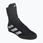 Bokso bateliai adidas Box Hog 4 black/white