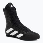 Bokso bateliai adidas Box Hog 4 black/white