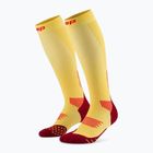 Moteriškos kompresinės kojinės CEP Run Tall 5.0 marigold/burgundy