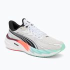 Vyriški bėgimo bateliai PUMA Velocity Nitro 4 Hyrox puma white / mint