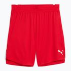 Vyriški krepšinio šortai PUMA teamJAWS Starter for all time red