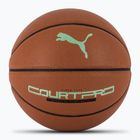 PUMA teamJAWS Court Pro Krepšinio krepšinio odinis rudas/tamsus šešėlis dydis 7
