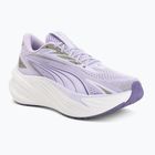Bėgimo batai Puma Maxima Pro light lavender/plum purple