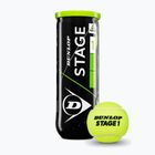Teniso kamuoliukai Dunlop Stage 1 3 pack green