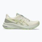 Vyriški bėgimo bateliai ASICS GT-1000 13 TR nature bathing/lime green