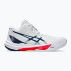 Vyriški batai ASICS Sky Elite FF MT 3 white/mako blue