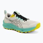 Vyriški bėgimo bateliai ASICS Trabuco Terra 3 light dust/black