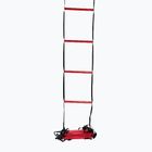 Wilson Ladder koordinavimo treniruočių kopėčios raudonos spalvos Z2542+