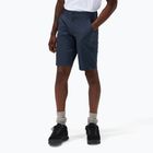 Vyriški šortai Berghaus Navigator 2.0 midnight