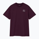 Dviračių marškinėliai Endura Pedal Power Graphic Tee sage green