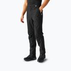 Vyriškos turistinės kelnės REGATTA Highton Stretch black