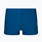 Vyriški Nike Tilt Logo Aquashort maudymosi bokseriai mėlyni NESSA010-400