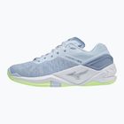 Moteriški rankinio bateliai Mizuno Wave Stealth Neo heather/white/neo lime