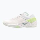 Moteriški rankinio bateliai Mizuno Wave Stealth Neo