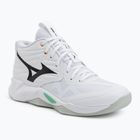 Tinklinio bateliai Mizuno Wave Momentum Pro Mid white/black/frozen emerald