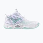 Moteriški tinklinio batai  Mizuno Wave Momentum Elite Mid white/blue tint