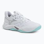 Moteriški tinklinio batai Mizuno Wave Momentum Pro white/blue tint