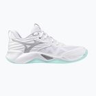Moteriški tinklinio batai Mizuno Wave Momentum Pro white/blue tint