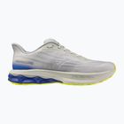 Vyriški bėgimo batai Mizuno Wave Skyrise 7 dawn blue/white/dazzling blue
