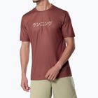 Vyriški bėgimo marškinėliai Mizuno Core Graphic Tee copper brown
