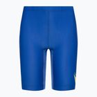 Vaikiški plaukimo šortai Nike Multi Logo Jammer game royal