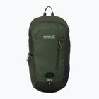 Turistinė kuprinė REGATTA Highton V2 20 l dkkhk/frlfcl