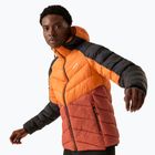 Vyriška pūsta striukė REGATTA Hooded Dalent fox/red ochre