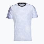 Vyriški bėgimo marškinėliai Mizuno Graphic Short Sleeve Tee tsukikage