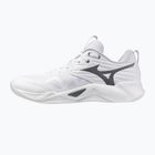 Tinklinio bateliai Mizuno Wave Momentum Pro white/metallic gray/black