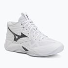 Tinklinio bateliai Mizuno Wave Momentum Pro Mid white/metallic gray/black