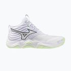 Moteriški tinklinio bateliai Mizuno Wave Momentum Elite Mid white/balsam green/ambrosia