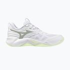 Moteriški tinklinio bateliai Mizuno Wave Momentum Pro white/aqua gray/ambrosia